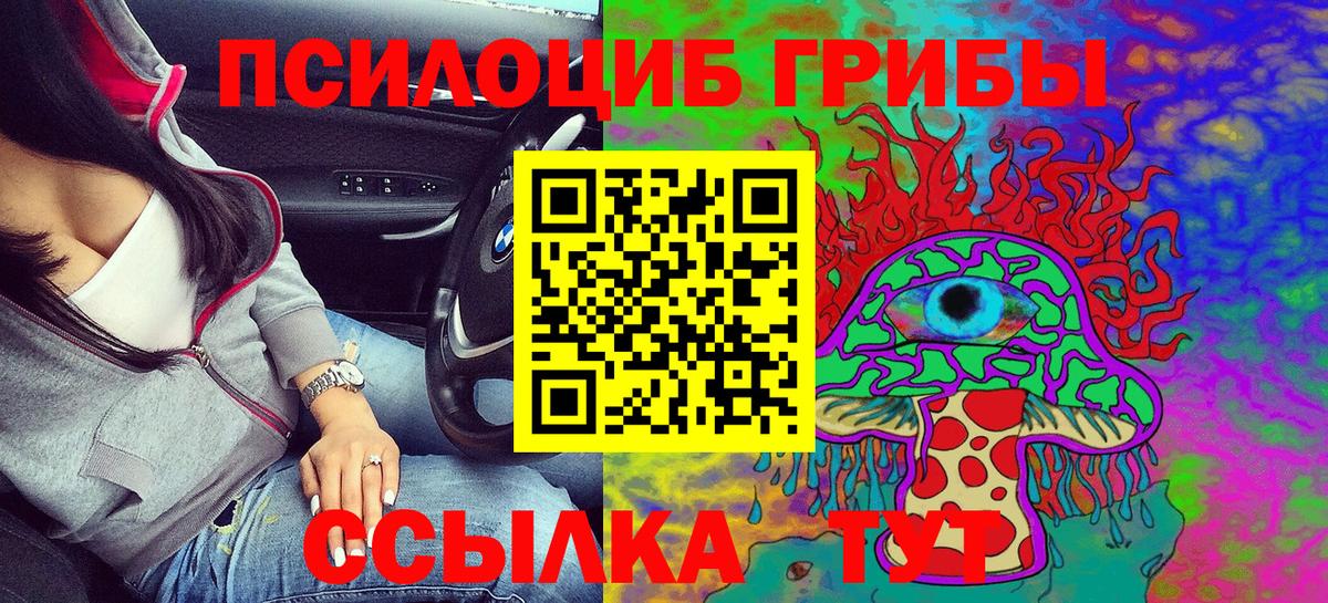 Берёзовский  Псилоцибиновые грибы MAGIC MUSHROOMS  Вход с VPN 